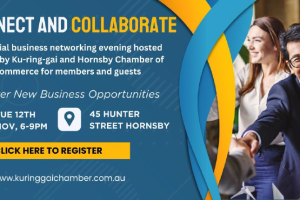 Connect and Collaborate - A Networking Event for Business Leaders